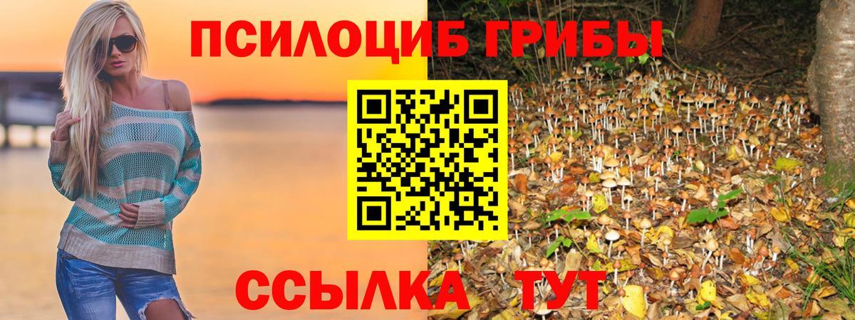 Псилоцибиновые грибы мицелий  Вход с VPN  Белово 